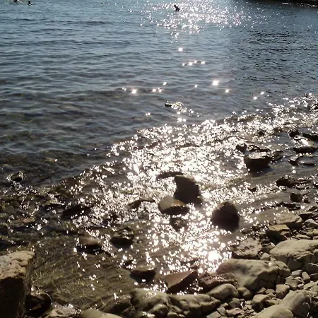 Tiny Dream - Old Town